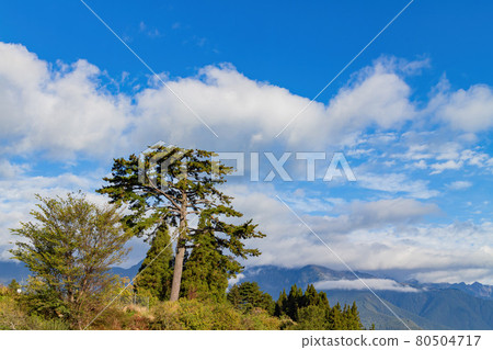 Autumn mountain landscape in Wuling Farm Autumn mountain landscape in Wuling Farm 80504717