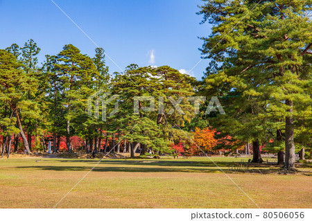 Autumn leaves of the world heritage Hiraizumi Motsuji Temple 80506056