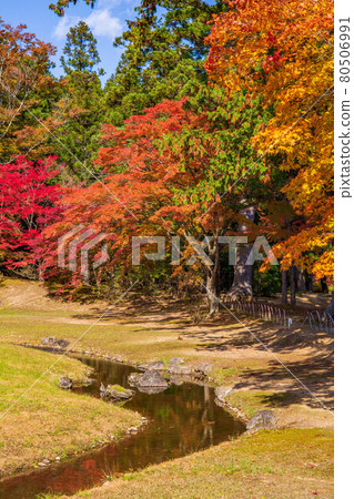 Autumn leaves of the world heritage Hiraizumi Motsuji Temple Nokomizu Autumn leaves of the world heritage Hiraizumi Motsuji Temple Nokomizu 80506991