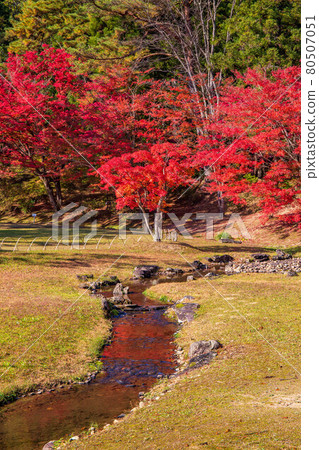 Autumn leaves of the world heritage Hiraizumi Motsuji Temple Nokomizu 80507051