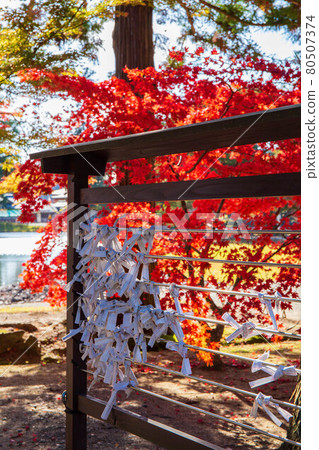 Autumn leaves of the world heritage Hiraizumi Motsuji Temple Omikuji 80507374