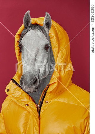 Contemporary art collage. Concept woman with horse head. Contemporary art collage. Concept woman with horse head. 80508396