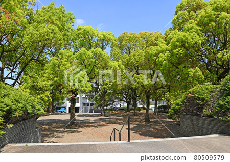 Todoroki Green Space, Nakahara Ward, Kawasaki City, Kanagawa Prefecture, etc. Todoroki Green Space, Nakahara Ward, Kawasaki City, Kanagawa Prefecture, etc. 80509579