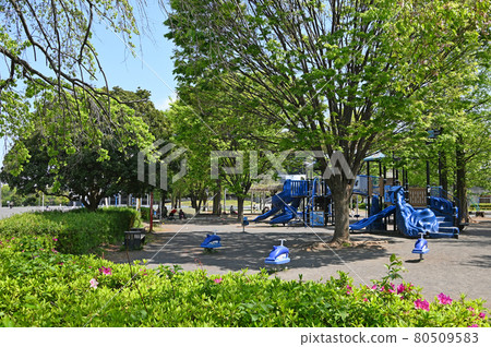 Todoroki Green Space, Nakahara Ward, Kawasaki City, Kanagawa Prefecture, etc. Todoroki Green Space, Nakahara Ward, Kawasaki City, Kanagawa Prefecture, etc. 80509583