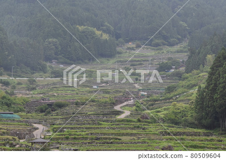 四谷千葉田園風光 四谷千葉田園風光 80509604