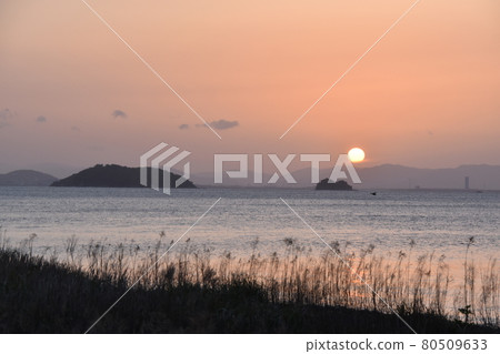 黎明的風景 黎明的風景 80509633