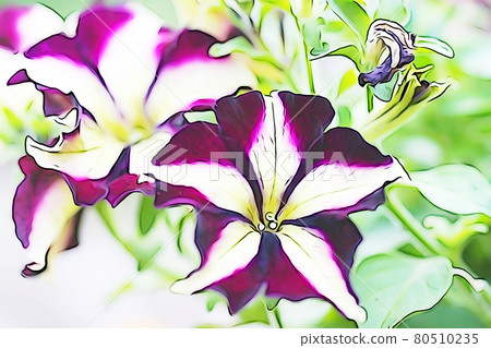 Pastel style "Petunia" illustration image 80510235