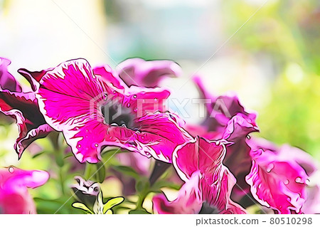 Pastel style "Petunia" illustration image 80510298