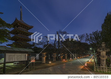 [Ueno, Tokyo] A night view of the approach to Ueno Toshogu Shrine illuminated by stone lanterns along the five-storied pagoda of Kaneiji Temple. 80510333