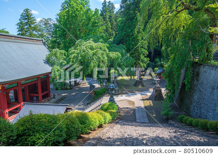 在正門附近的妙義神社內散步 80510609
