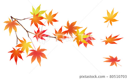 Autumn leaves parts material 80510703