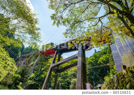大竹登山鐵路瀧本站 大竹登山鐵路瀧本站 80510831