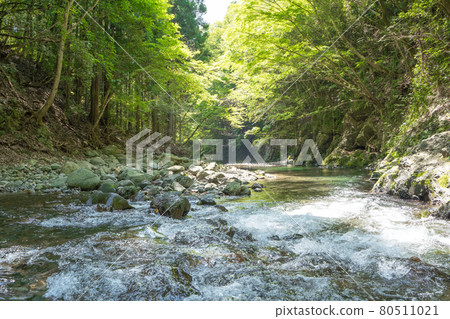 A state of the clear stream flowing through the Okuyama 80511021