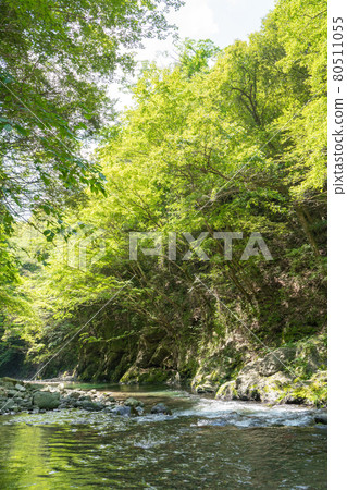 A state of the clear stream flowing through the Okuyama 80511055