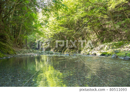A state of the clear stream flowing through the Okuyama A state of the clear stream flowing through the Okuyama 80511093