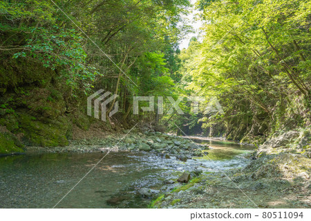 A state of the clear stream flowing through the Okuyama A state of the clear stream flowing through the Okuyama 80511094