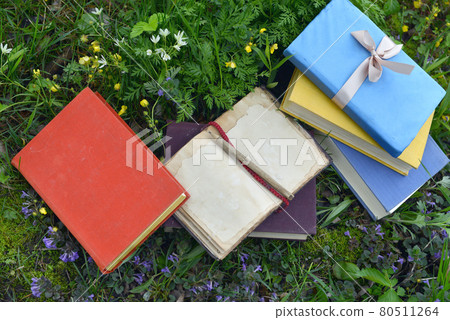Open diary with empty pages and colorful books laying on green grass lawn outside. Vintage romantic and educational concept Open diary with empty pages and colorful books laying on green grass lawn outside. Vintage romantic and educational concept 80511264