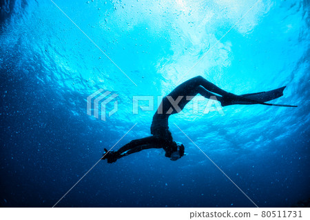 美人魚舞 美人魚舞 80511731