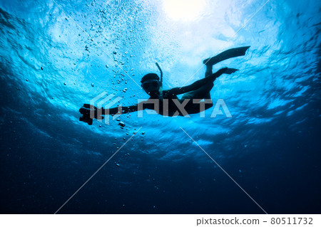 美人魚舞 美人魚舞 80511732