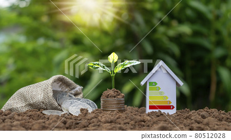 Trees grow on piles of money and energy-saving house models, energy-saving home ideas. Eco-friendly innovation Trees grow on piles of money and energy-saving house models, energy-saving home ideas. Eco-friendly innovation 80512028