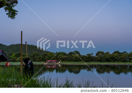京都府京都市大覺寺賞月之夜,漂浮在大澤池的龍都刺身船遊船 京都府京都市大覺寺賞月之夜,漂浮在大澤池的龍都刺身船遊船 80512646