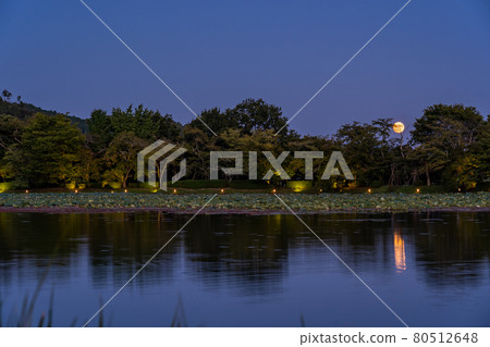 京都府京都市大覺寺觀月之夜，大澤池上出現的中秋月 80512648