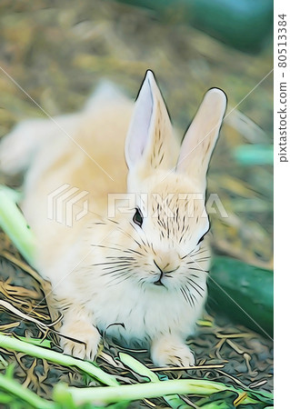 Pastel style "Rabbit" illustration image Pastel style "Rabbit" illustration image 80513384