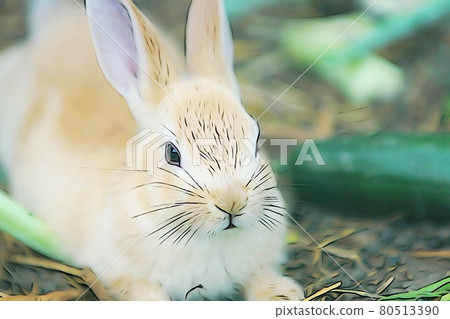 Pastel style "Rabbit" illustration image Pastel style "Rabbit" illustration image 80513390