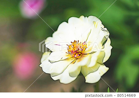Pastel style "Matsuba button" illustration image Pastel style "Matsuba button" illustration image 80514669