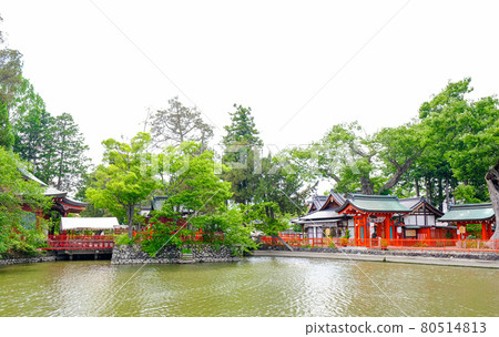 Ikushima明日香神社 Ikushima明日香神社 80514813