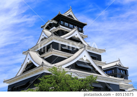 [熊本縣] 晴朗天氣下的熊本城已完全恢復 80515075