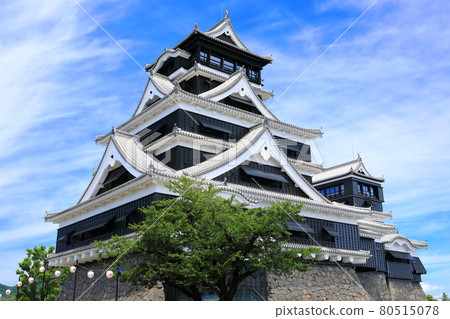 [熊本縣] 晴朗天氣下的熊本城已完全恢復 80515078
