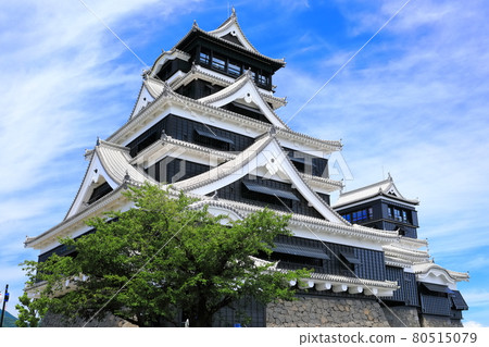 [熊本縣] 晴朗天氣下的熊本城已完全恢復 80515079