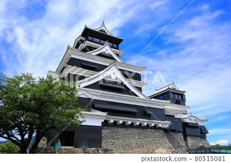 [熊本縣] 晴朗天氣下的熊本城已完全恢復 80515081