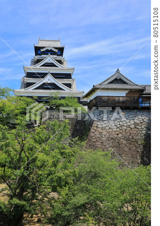 [Kumamoto Prefecture] Kumamoto Castle under sunny weather that has been completely restored 80515108