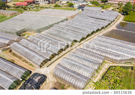 aerial view of greenhouse 80515636