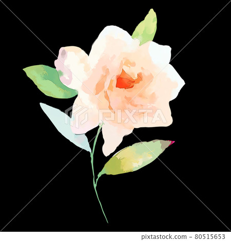 Beautiful wedding watercolor rose flower peony flower Beautiful wedding watercolor rose flower peony flower 80515653