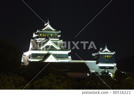 熊本城燈火通明 80516221