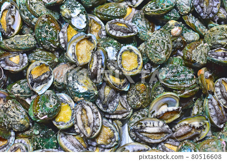 Fresh abalone Fresh abalone 80516608