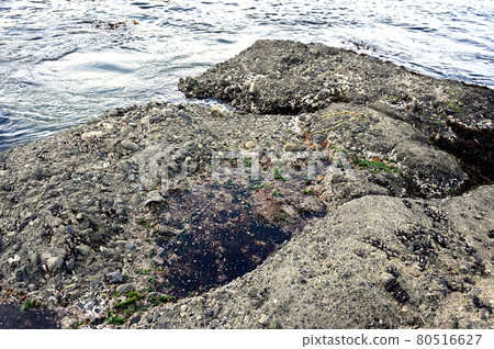 One side of the sea One side of the sea 80516627
