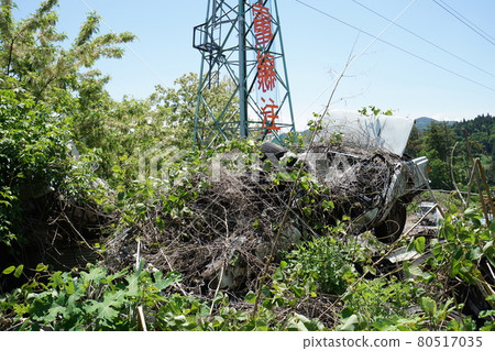 廢棄的廢棄巴士 廢棄的車身 草廣長野縣 長野市 長田巴士 長野電鐵巴士 80517035