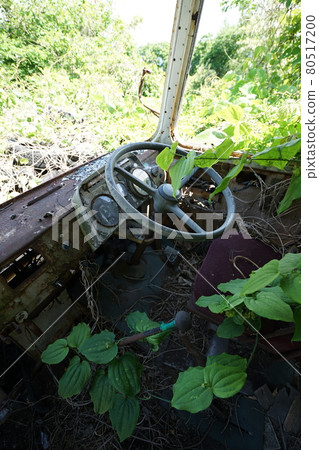 廢棄的廢棄巴士 廢棄的車身 草廣長野縣 長野市 長田巴士 長野電鐵巴士 廢棄的廢棄巴士 廢棄的車身 草廣長野縣 長野市 長田巴士 長野電鐵巴士 80517200