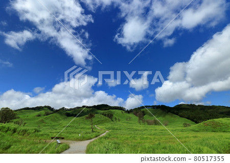 遠峰高原夏季 80517355