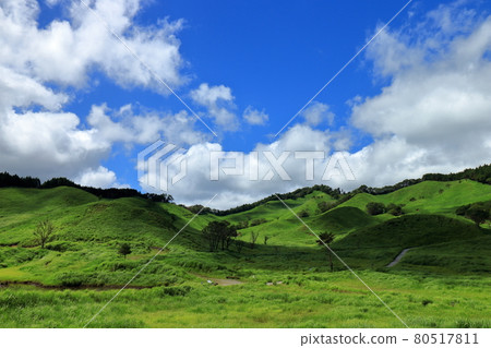 Tonomine Kogen Summer 80517811