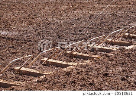 Motocross race starting gate (before start) 80518651