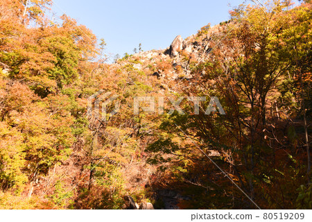 Shosenkyo Autumn Leaves 80519209