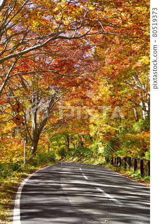 102號秋季路線 102號秋季路線 80519373