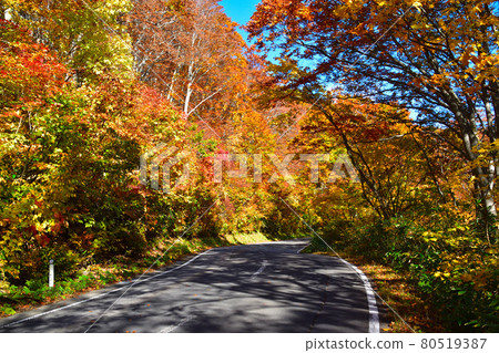 Autumn Route 102 80519387