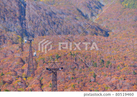 Autumn Hakkoda Ropeway Autumn Hakkoda Ropeway 80519460