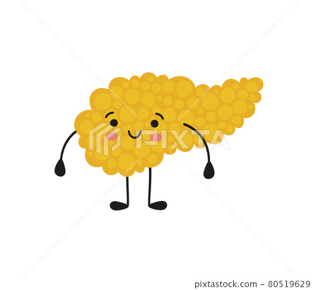 Pancreas kawaii healthy character with smile. Drawing of a healthy pancreas. Isolated vector illustration on white background 80519629